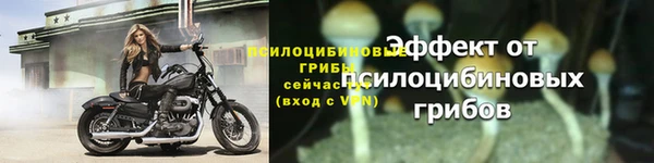 ешки Лабытнанги