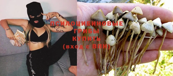 ешки Лабытнанги