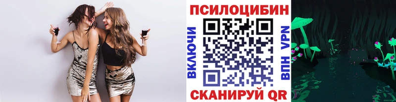 Купить где  Берёзовский  Галлюциногенные грибы Cubensis 